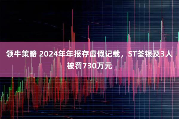 领牛策略 2024年年报存虚假记载，ST荃银及3人被罚730万元