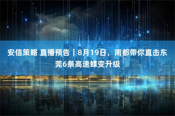 安信策略 直播预告｜8月19日，南都带你直击东莞6条高速蝶变升级