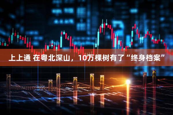 上上通 在粤北深山，10万棵树有了“终身档案”